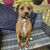 Stephanie Webster Tafel's profile image