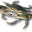 rocklogic's profile image