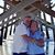 Patti Phalen Lucey's profile image