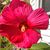 Sarah Leatherwood's profile image