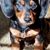 Tina Ann Phillips's profile image