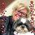 Andrea Jurkowski's profile image