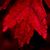 Douglas Keck's profile image