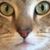 Justin Baize's profile image