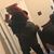 Drea Lea-zoe Santigno's profile image