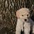 Steve Coppage's profile image