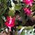 Kathleen Tempesta's profile image