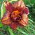 Marianne Christy's profile image