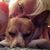 Cheryl Finotti's profile image