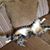 Jill Martin Burnsworth's profile image