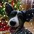 Roxie R Atkinson Miller's profile image