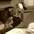 Marco Provolo's profile image