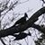 Sandy Goldsmith Diaz's profile image