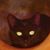 Blossom Zecevich's profile image