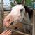 Pam Peters's profile image