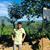 Upesh Sheelaka's profile image