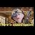 Patrick Henry's profile image