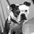 Rexx Kwan Dough's profile image