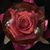 Yolanda C Santos's profile image