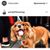 Michael Degeronimo's profile image