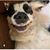 Ricky Garcia's profile image