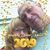 Alan See's profile image