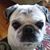Blue Geiger's profile image