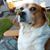 Tracy Moore's profile image