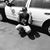 Dylon Allison's profile image