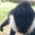 Nelson Gonzalez's profile image