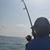 Joanne M Mardi's profile image