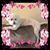Melda Colvin's profile image