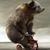 Gary Oakley's profile image