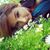 Tori P's profile image