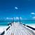 Amy Lowery Goodgame's profile image