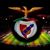 Manuel Faria de Oliveira's profile image