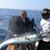 Cathy Riopel's profile image