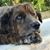 Kristi Taylor Mitchell's profile image