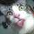 Sue Santel-Fenner's profile image