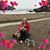 Kathleen Vaughan's profile image