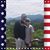 Jennifer Ellis's profile image