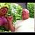 Marilyn Ison's profile image