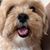 Betsua Thompson's profile image