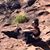 Joline Helen Borges's profile image