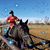 Tara Crase's profile image