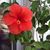 Susan Maier's profile image