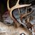 Jennyfer LeClaire Walker's profile image