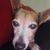 Fraley Michelle's profile image