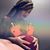 Jas Elias's profile image