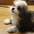 Gayla Vieta's profile image